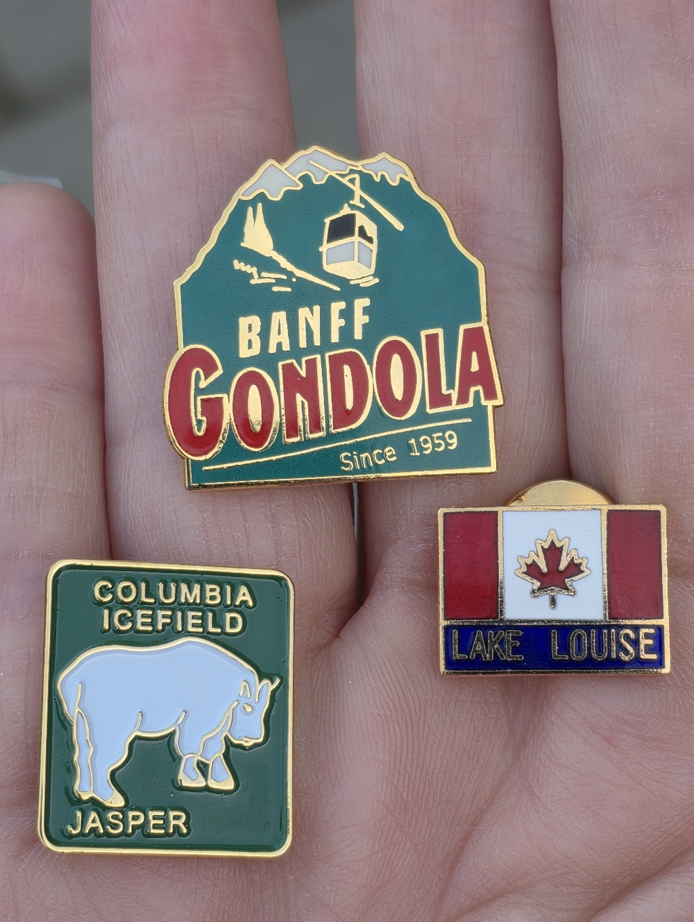 Trio of Alberta, Canada Souvenir Lapel Pins